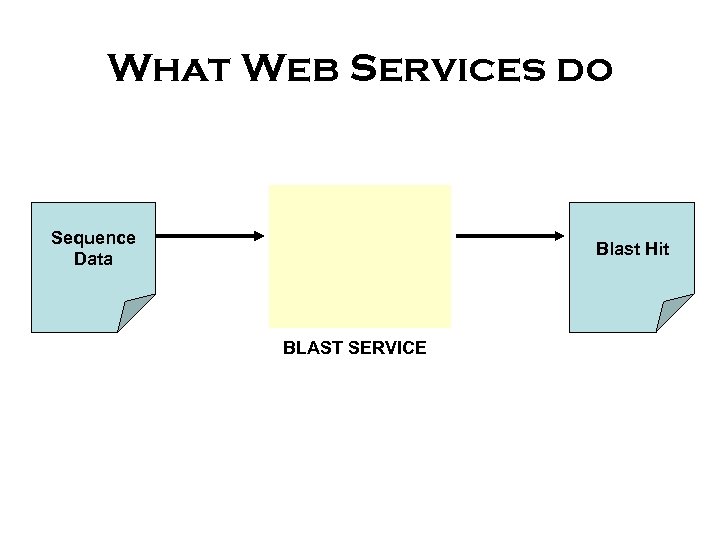 What Web Services do Sequence Data Blast Hit BLAST SERVICE 