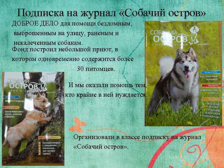 Подписка на журнал «Собачий остров» ДОБРОЕ ДЕЛО для помощи бездомным, выброшенным на улицу, раненым