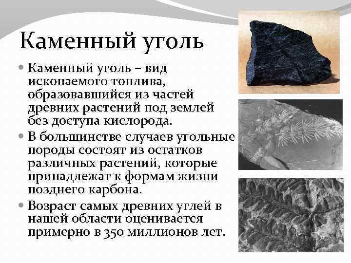Каменный уголь информация. Происхождение каменного угля таблица. Каменный уголь ископаемые. Появление каменного угля.