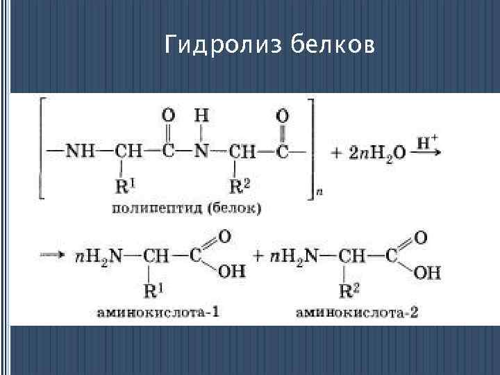 Химические свойства белков