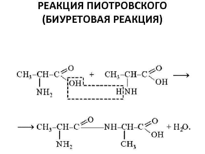 Напишите схему биуретовой реакции