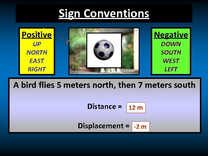 Sign Conventions Positive Negative UP NORTH EAST RIGHT DOWN SOUTH WEST LEFT A bird