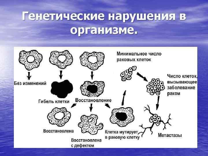 Генетические нарушения в организме. 