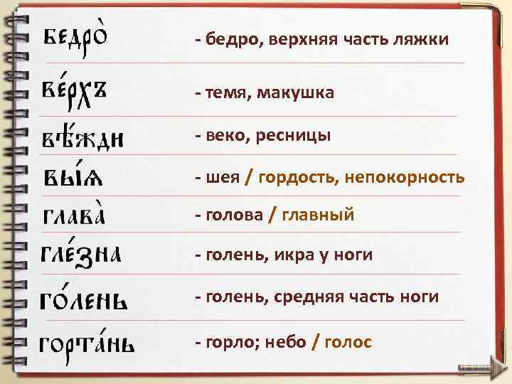- бедро, верхняя часть ляжки - темя, макушка - веко, ресницы - шея /
