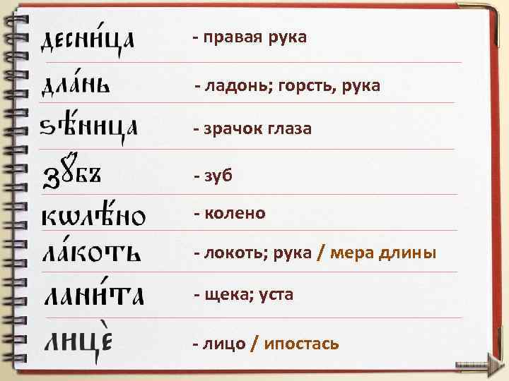 - правая рука - ладонь; горсть, рука - зрачок глаза - зуб - колено