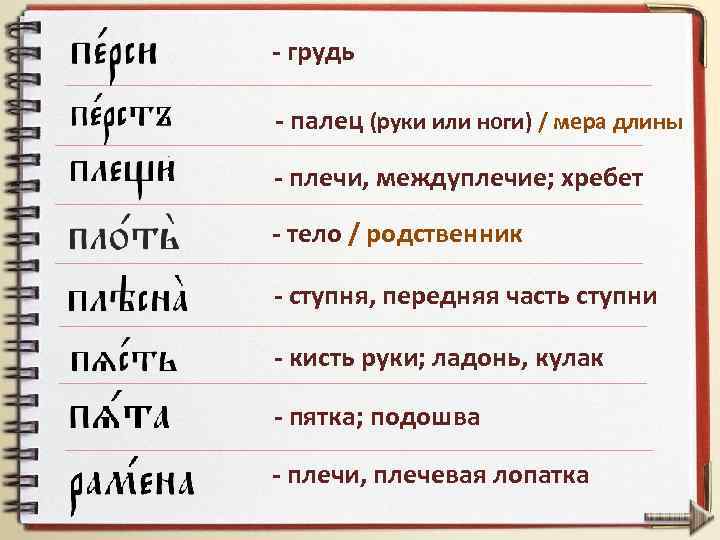 - грудь - палец (руки или ноги) / мера длины - плечи, междуплечие; хребет