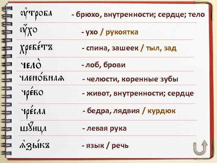- брюхо, внутренности; сердце; тело - ухо / рукоятка - спина, зашеек / тыл,