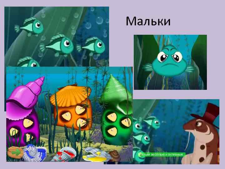 Мальки 