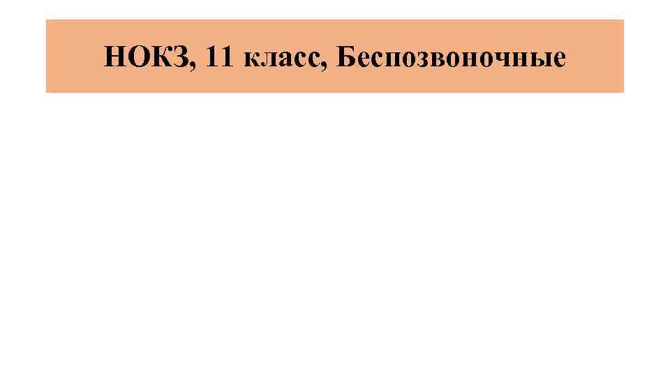 НОКЗ, 11 класс, Беспозвоночные 