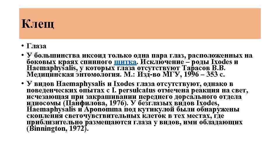 Клещ • Глаза • У большинства иксоид только одна пара глаз, расположенных на боковых