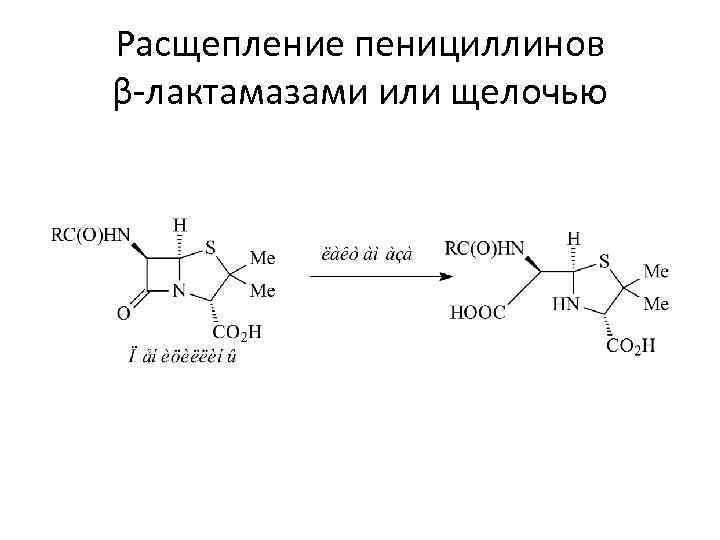Расщепление пенициллинов β-лактамазами или щелочью 