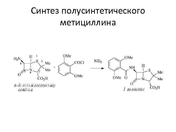 Синтез полусинтетического метициллина 