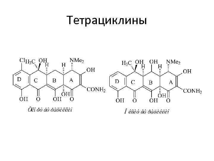 Тетрациклины 