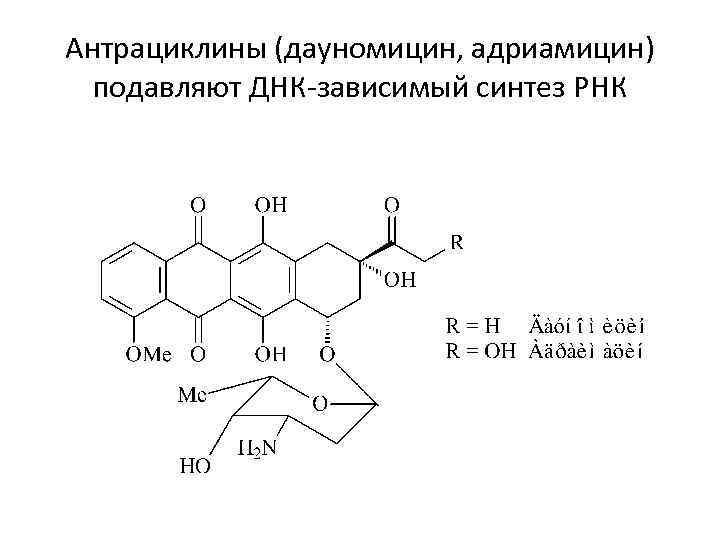Антрациклины (дауномицин, адриамицин) подавляют ДНК-зависимый синтез РНК 