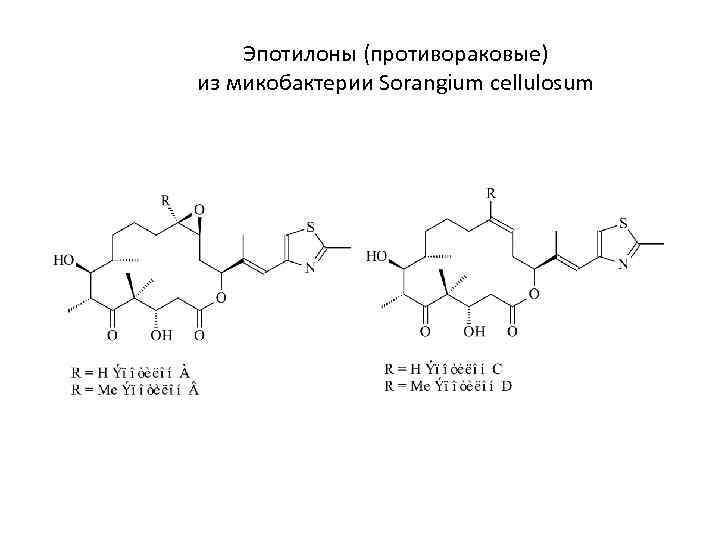 Эпотилоны (противораковые) из микобактерии Sorangium cellulosum 