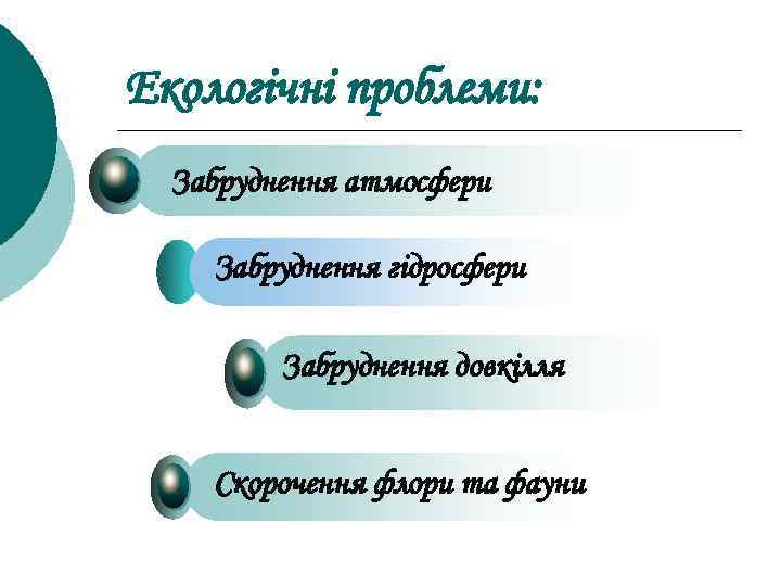 Екологічні проблеми: Забруднення атмосфери Забруднення гідросфери Забруднення довкілля Скорочення флори та фауни 