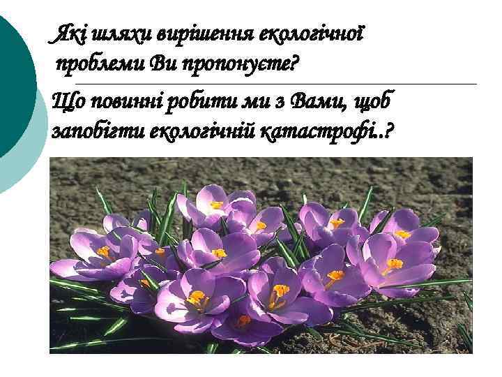 Які шляхи вирішення екологічної проблеми Ви пропонуєте? Що повинні робити ми з Вами, щоб