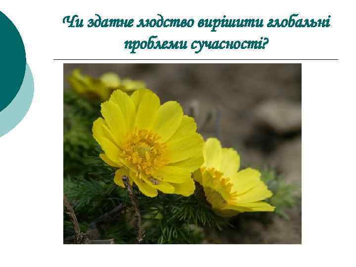 Чи здатне людство вирішити глобальні проблеми сучасності? 