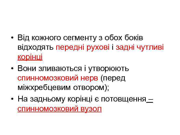  • Від кожного сегменту з обох боків відходять передні рухові і задні чутливі