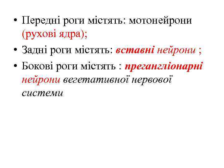  • Передні роги містять: мотонейрони (рухові ядра); • Задні роги містять: вставні нейрони