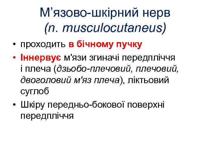 М’язово-шкірний нерв (n. musculocutaneus) • проходить в бічному пучку • Іннервує м'язи згиначі передпліччя