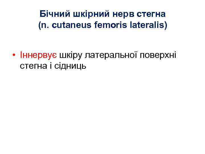 Бічний шкірний нерв стегна (n. cutaneus femoris lateralis) • Іннервує шкіру латеральної поверхні стегна