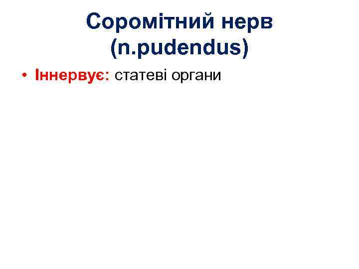 Соромітний нерв (n. pudendus) • Іннервує: статеві органи 
