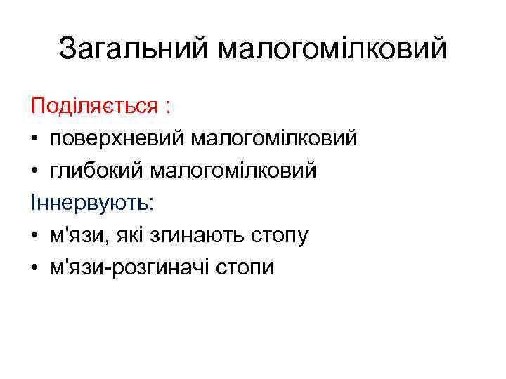 Загальний малогомілковий Поділяється : • поверхневий малогомілковий • глибокий малогомілковий Іннервують: • м'язи, які