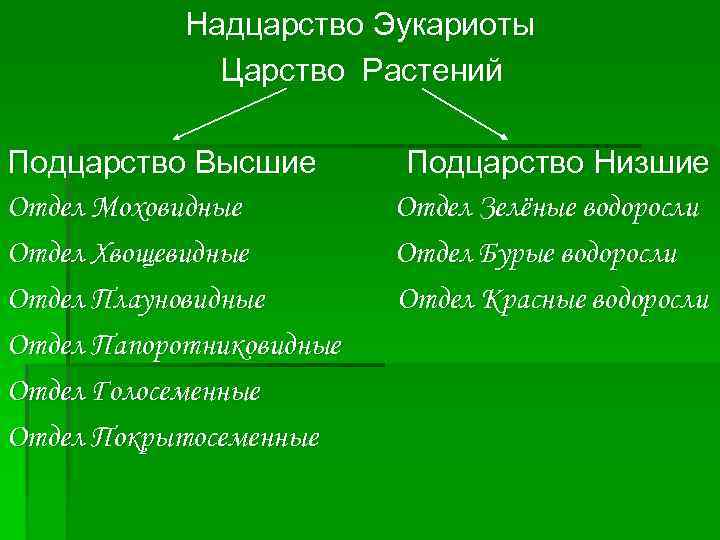 Надцарство Эукариоты Царство Растений Подцарство Высшие Отдел Моховидные Отдел Хвощевидные Отдел Плауновидные Отдел Папоротниковидные