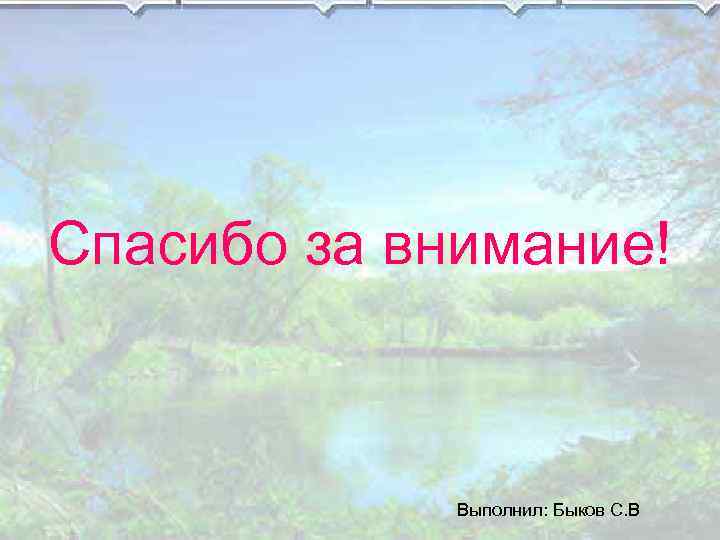 Спасибо за внимание! Выполнил: Быков С. В 