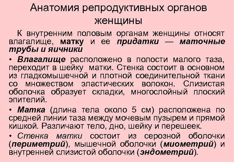 Анатомия репродуктивных органов женщины К внутренним половым органам женщины относят влагалище, матку и ее