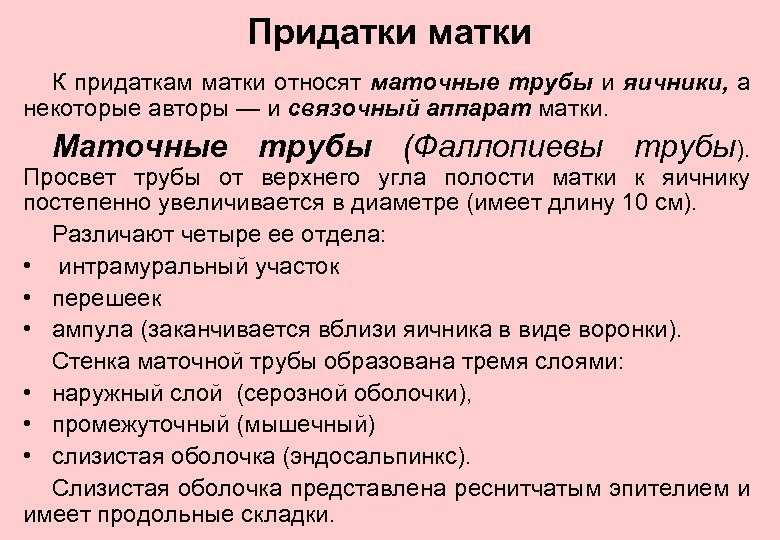 Придатки матки К придаткам матки относят маточные трубы и яичники, а некоторые авторы —