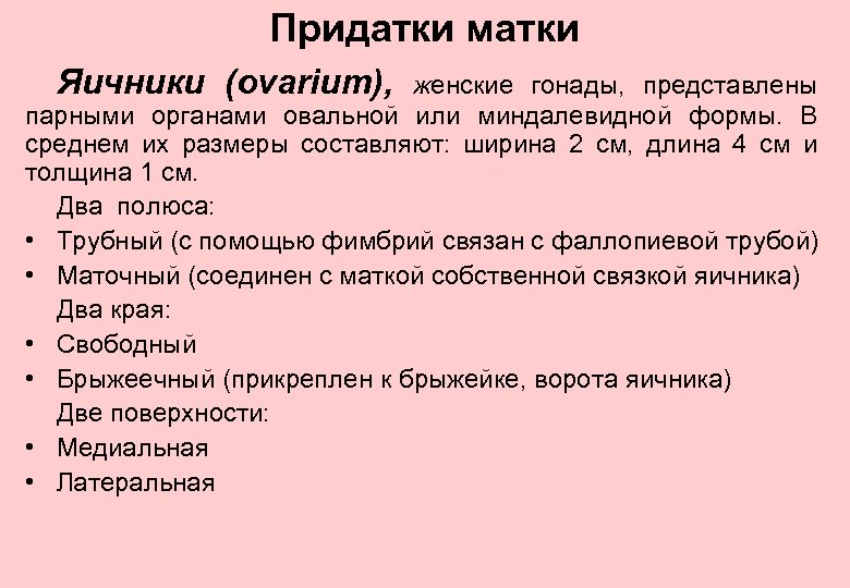 Придатки матки Яичники (ovarium), женские гонады, представлены парными органами овальной или миндалевидной формы. В