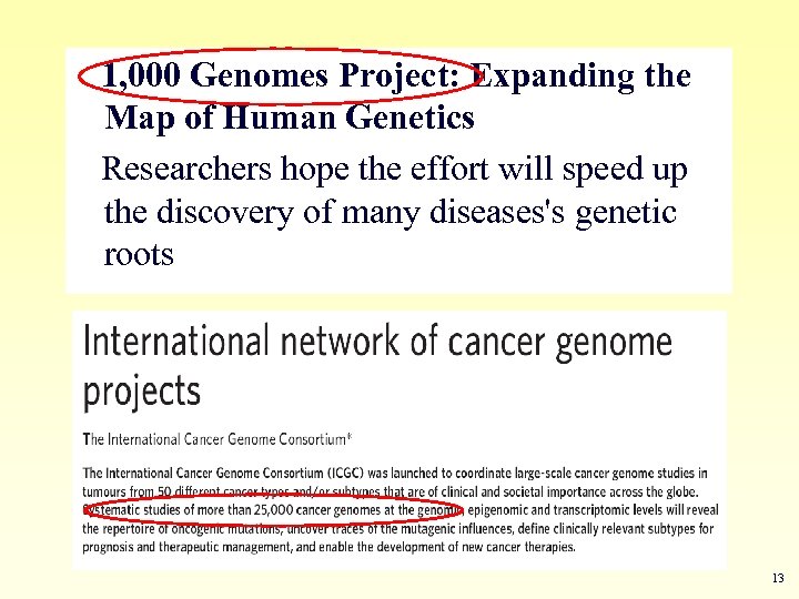 1, 000 Genomes Project: Expanding the Map of Human Genetics Researchers hope the effort