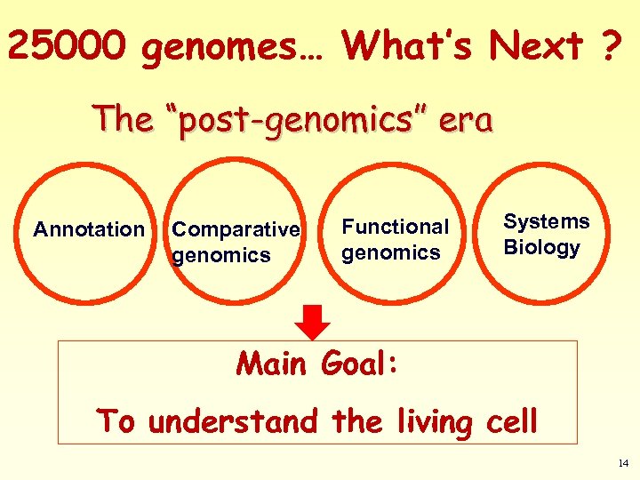 25000 genomes… What’s Next ? The “post-genomics” era Annotation Comparative genomics Functional genomics Systems