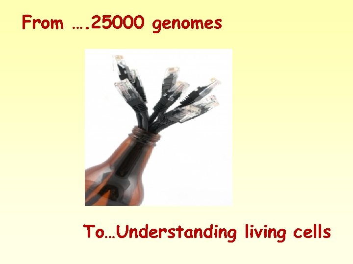 From …. 25000 genomes To…Understanding living cells 