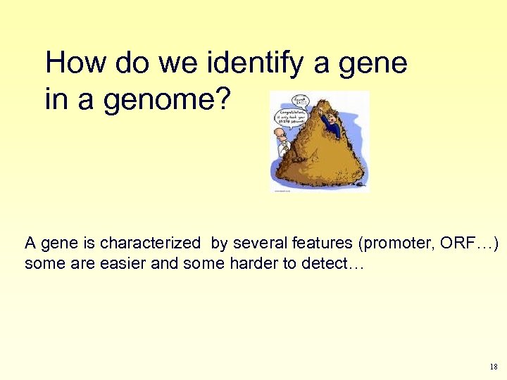 How do we identify a gene in a genome? A gene is characterized by
