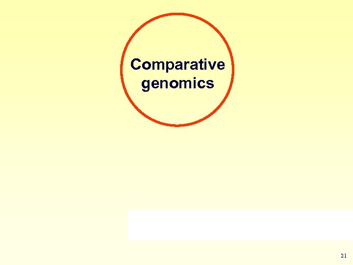 Comparative genomics 21 