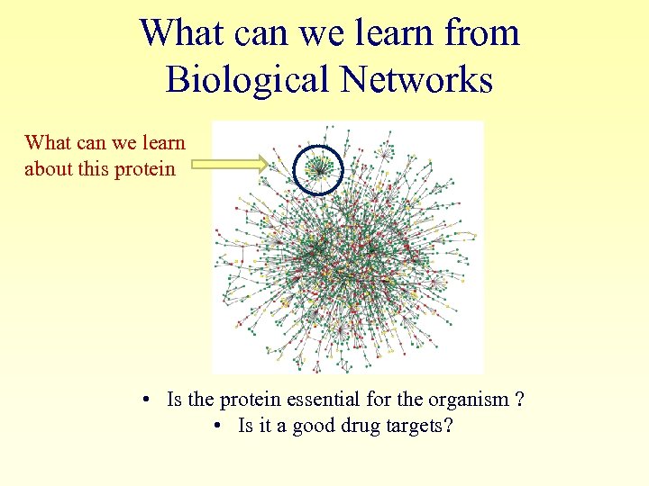 What can we learn from Biological Networks What can we learn about this protein