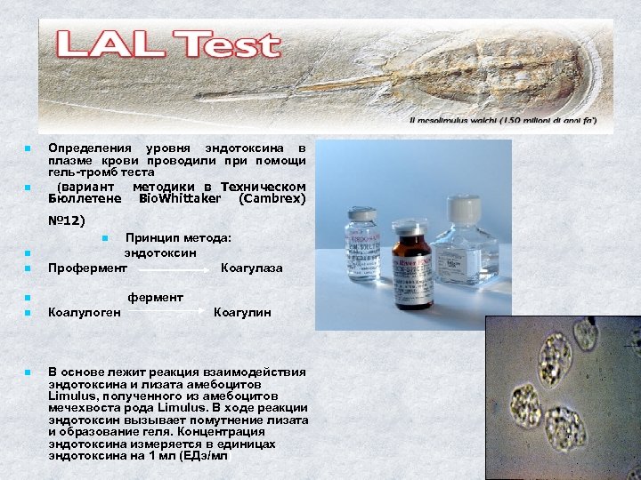 ия n n Определения уровня эндотоксина в плазме крови проводили при помощи гель-тромб теста