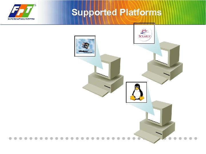 Supported Platforms 
