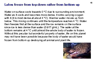 Lakes freeze from top down rather from bottom up Water on surface cools towards
