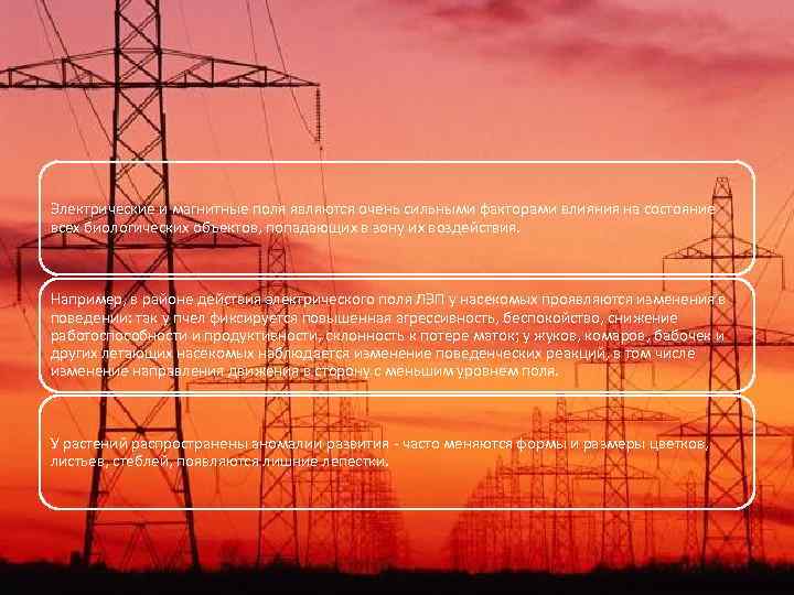 Электрические и магнитные поля являются очень сильными факторами влияния на состояние всех биологических объектов,