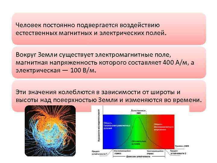 Влияние магнитного поля на живые организмы проект