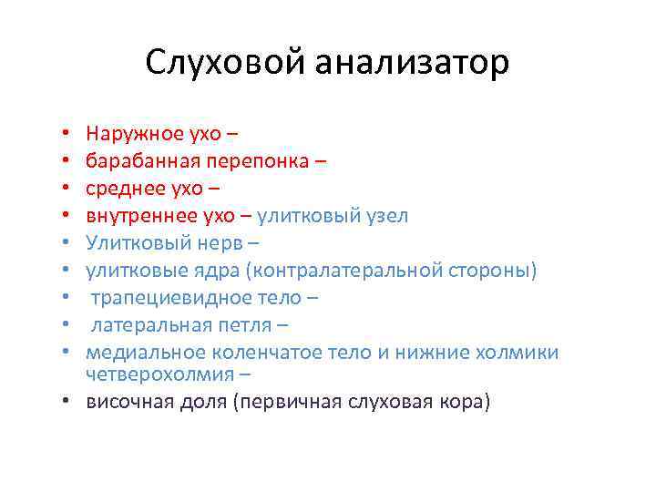 Слуховой анализатор Наружное ухо – барабанная перепонка – среднее ухо – внутреннее ухо –