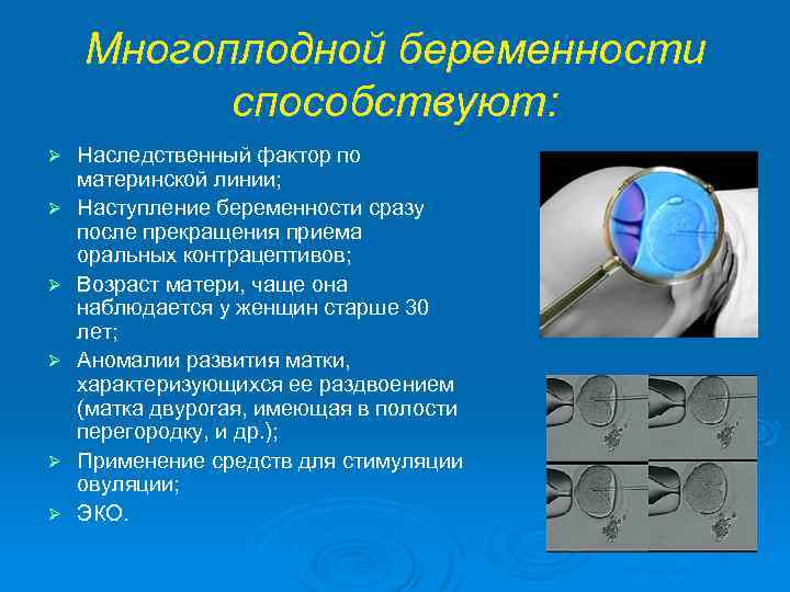Многоплодной беременности способствуют: Ø Ø Ø Наследственный фактор по материнской линии; Наступление беременности сразу