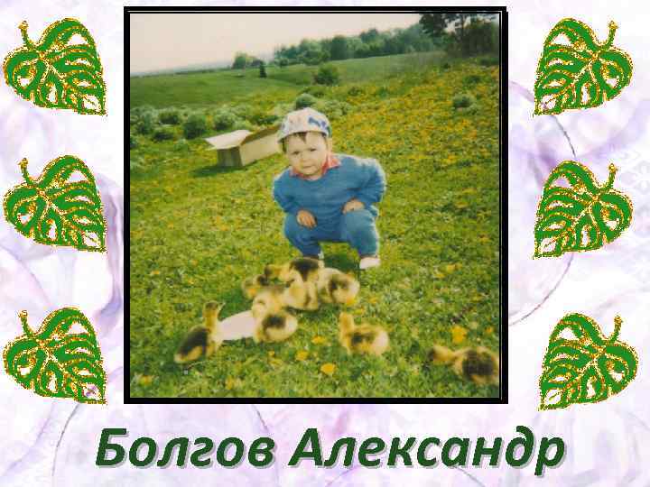 Болгов Александр 