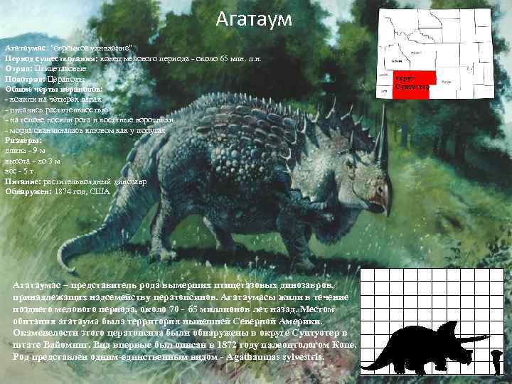 Агатаумас: "огромное удивдение" Период существования: конец мелового периода - около 65 млн. л. н.