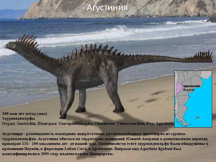 Агустиния провинция Неукен 108 млн лет назад (мел) Зауроподоморфы Отряд: Saurischia, Подотряд: Sauropodomorpha, Семейство: