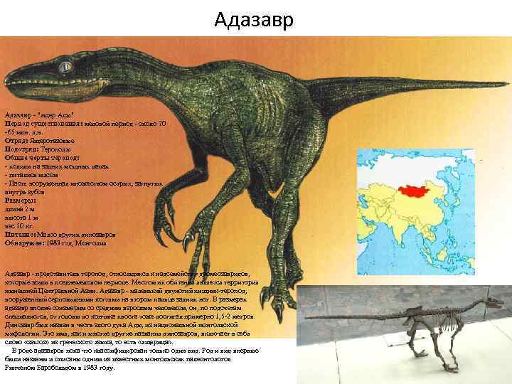 Адазавр - "ящер Ады" Период существования: меловой период - около 70 -65 млн. л.